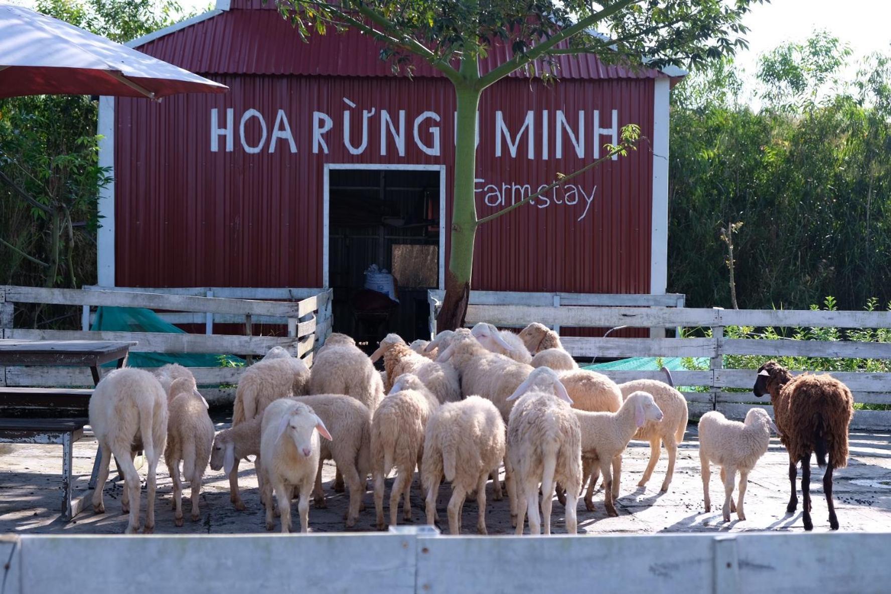 Bungalow - Farmstay Hoa Rung U Minh Cà Mau Zewnętrze zdjęcie