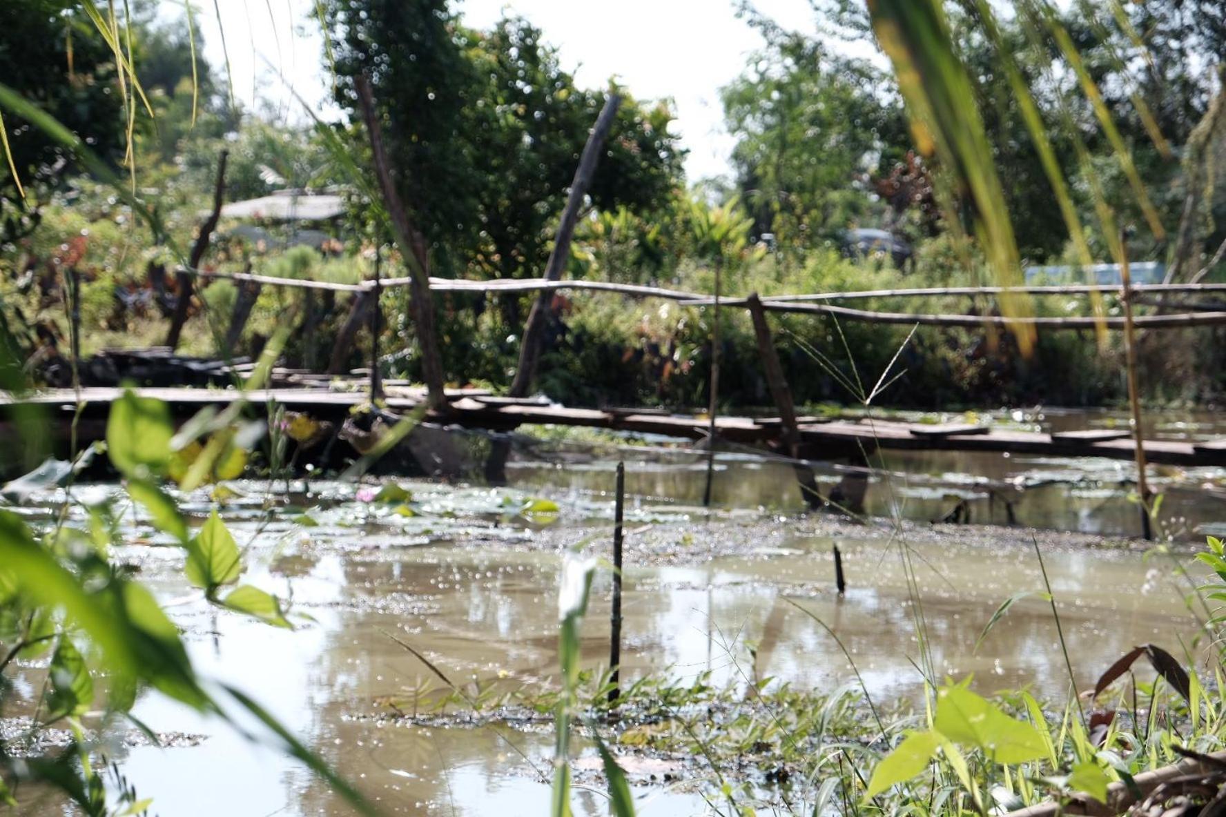 Bungalow - Farmstay Hoa Rung U Minh Cà Mau Zewnętrze zdjęcie