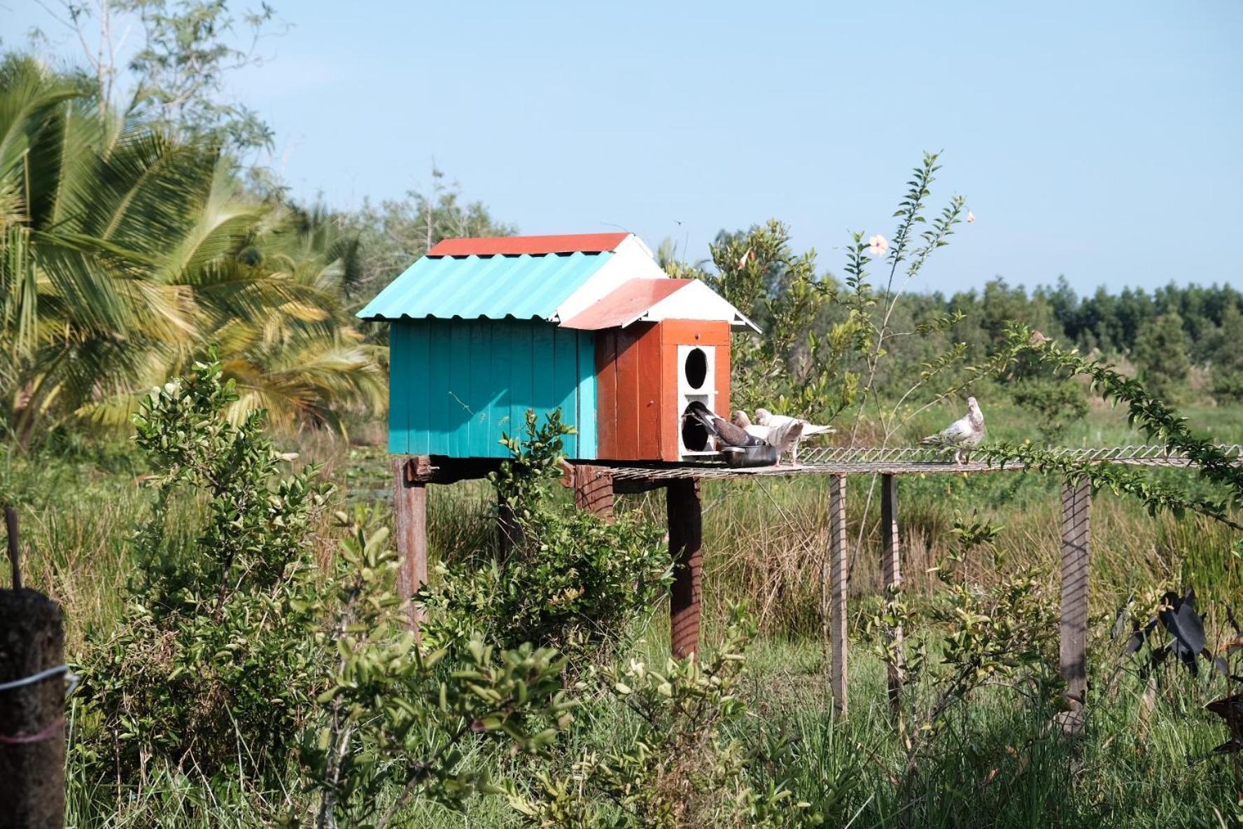 Bungalow - Farmstay Hoa Rung U Minh Cà Mau Zewnętrze zdjęcie